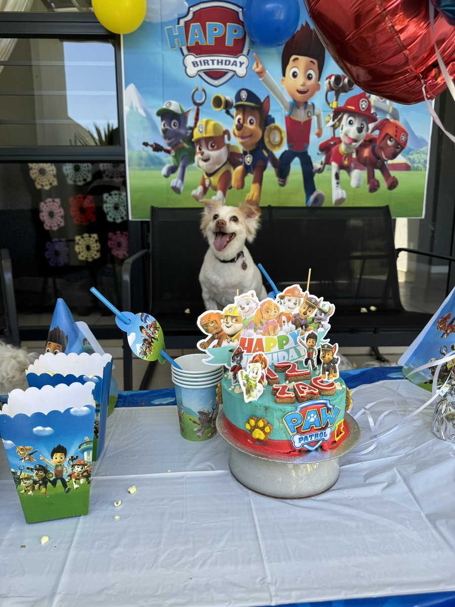 Zoe__99's tweet photo. All my friends are in on the joke of calling Zac the Paw patrol because his the fun police and patrols my house whenever they come over so I threw him a paw patrol party for his 12th birthday 😭 look at him 🥹 he was so happy https://t.co/MUCdp3cD36