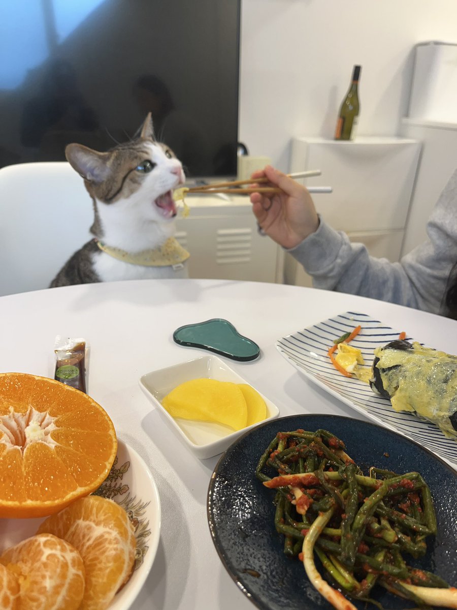 hankapy's tweet image. 최선을 다하는 저 입좀 봐………..🫠