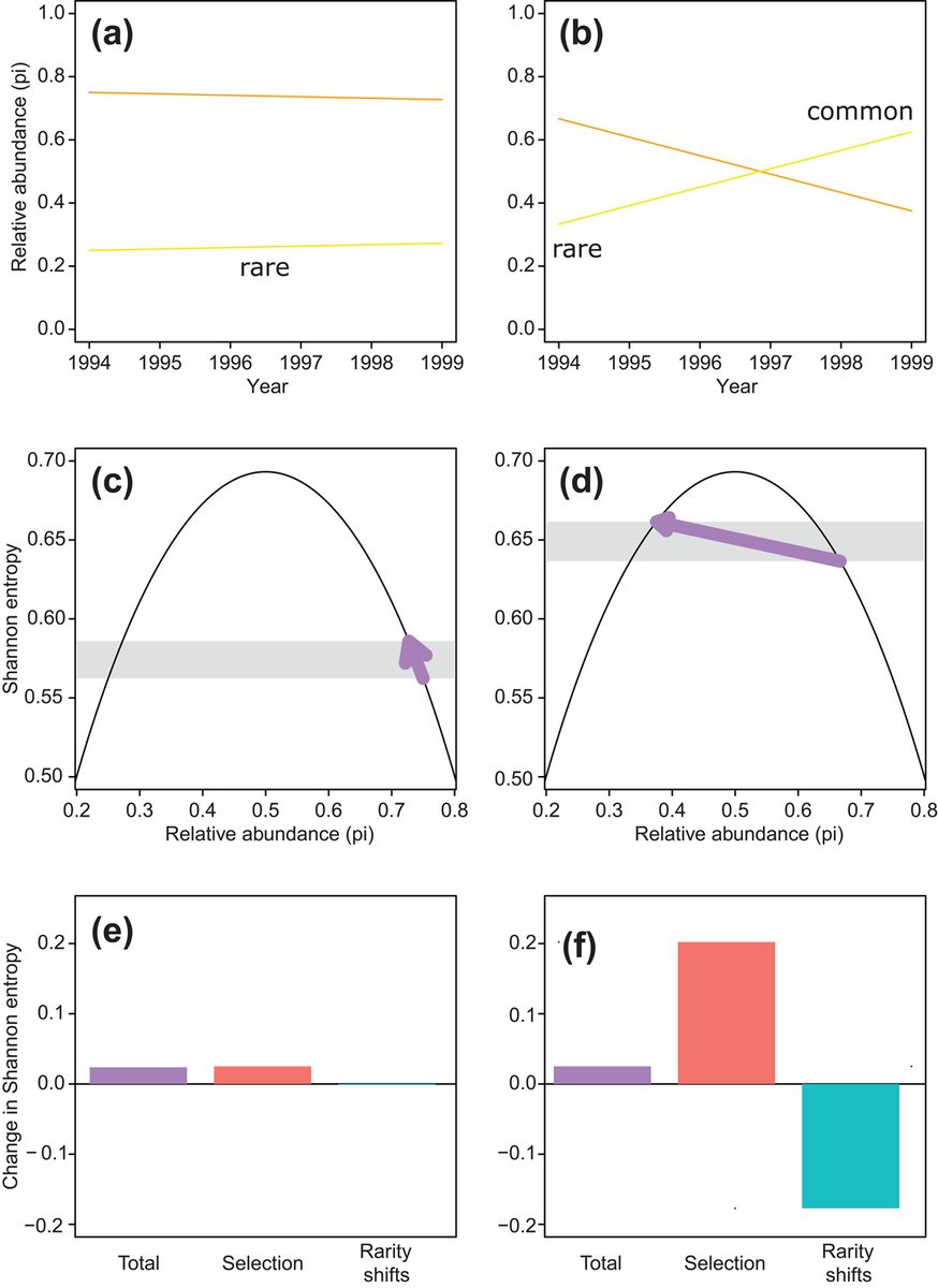 Ecography (@ecographyjourna) on Twitter photo A mismatch between community assembly and abundance-based diversity indices
nsojournals.onlinelibrary.wiley.com/doi/full/10.11… #biodiversity #species_richness #models #ibsprague2024 <a href="/NordicOikos/">Nordic Society Oikos</a> A mismatch between community assembly and abundance-based diversity indices
nsojournals.onlinelibrary.wiley.com/doi/full/10.11… #biodiversity #species_richness #models #ibsprague2024 <a href="/NordicOikos/">Nordic Society Oikos</a>