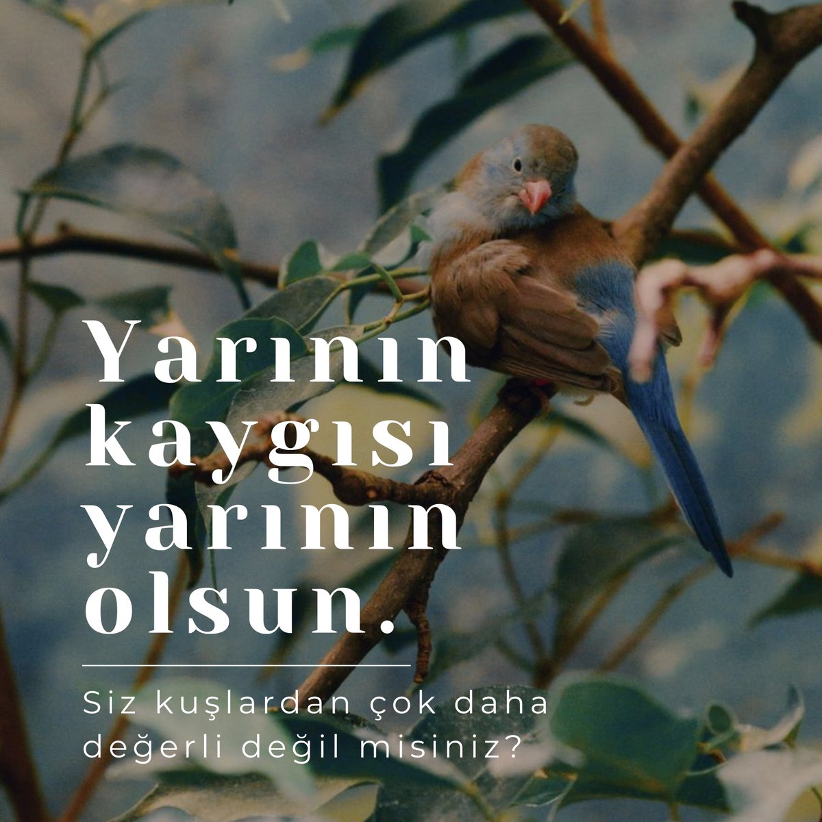 ✨Gökte uçan kuşlara bakın! Ne eker, ne biçer, ne de ambarlarda yiyecek biriktirirler. Göksel Babanız yine de onları doyurur. Siz onlardan çok daha değerli değil misiniz? “Öyleyse, ‘Ne yiyeceğiz?’ ‘Ne içeceğiz?’ ya da ‘Ne giyeceğiz?’ diyerek kaygılanmayın.🕊️