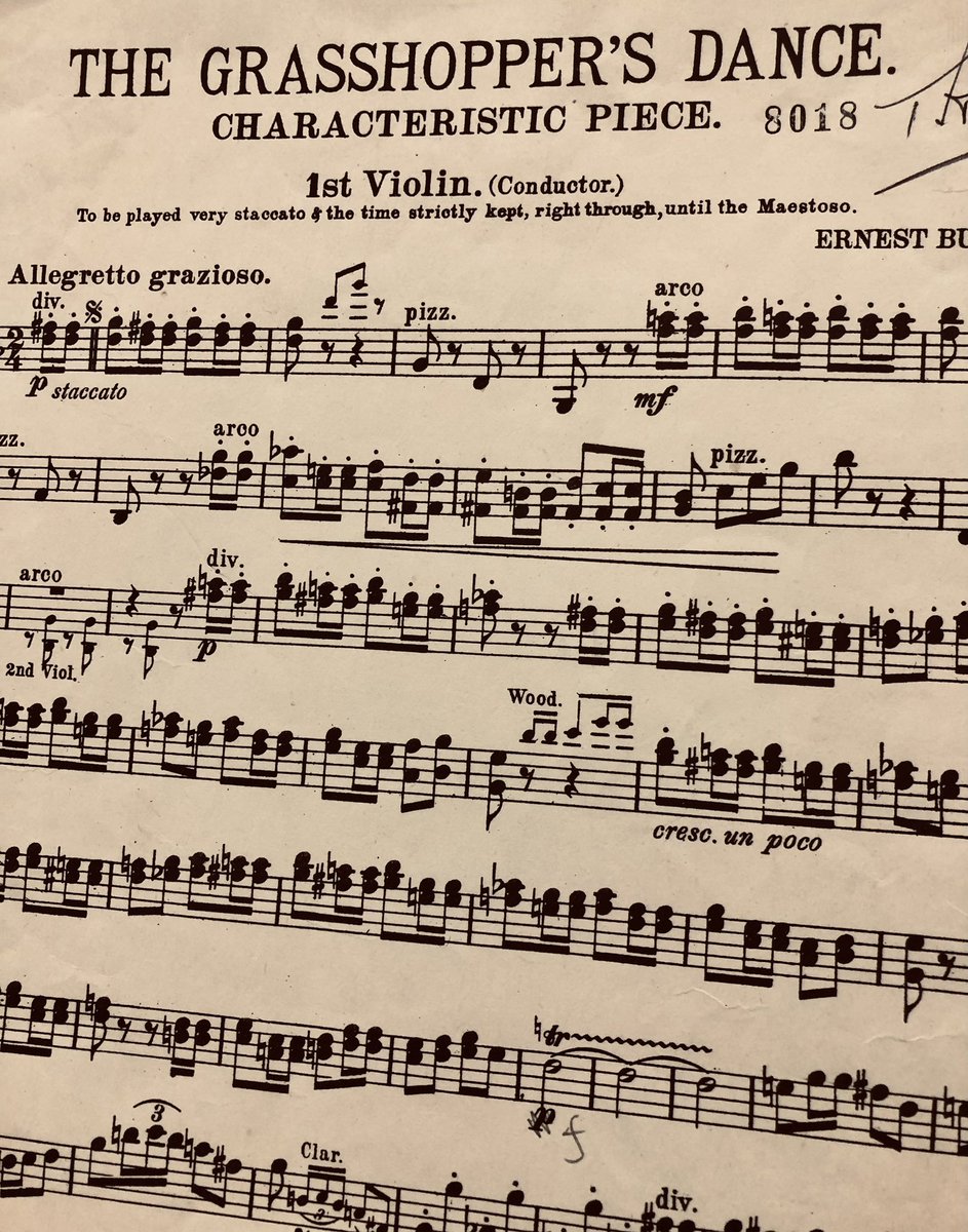 ylorchestra's tweet photo. https://t.co/goRhG58z9p