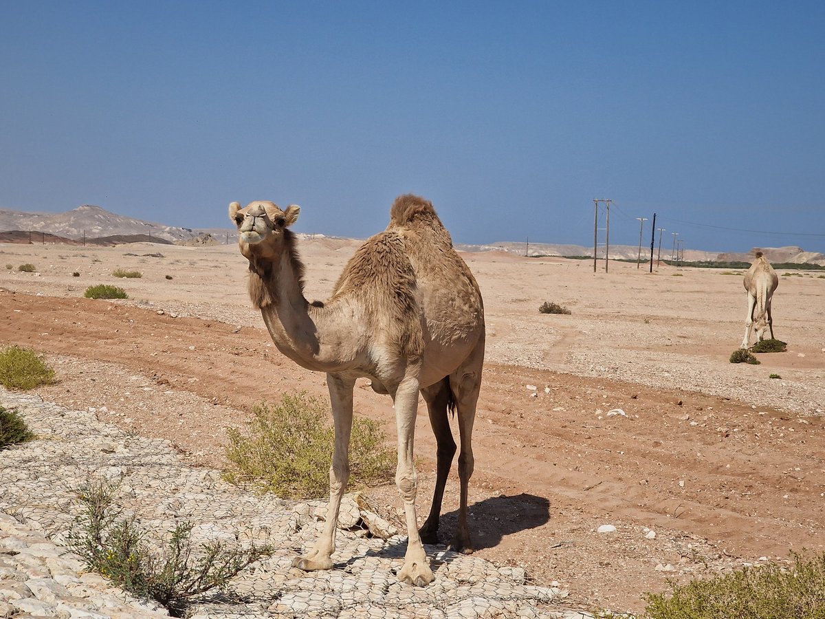 Tadeja Kuhar tweet media