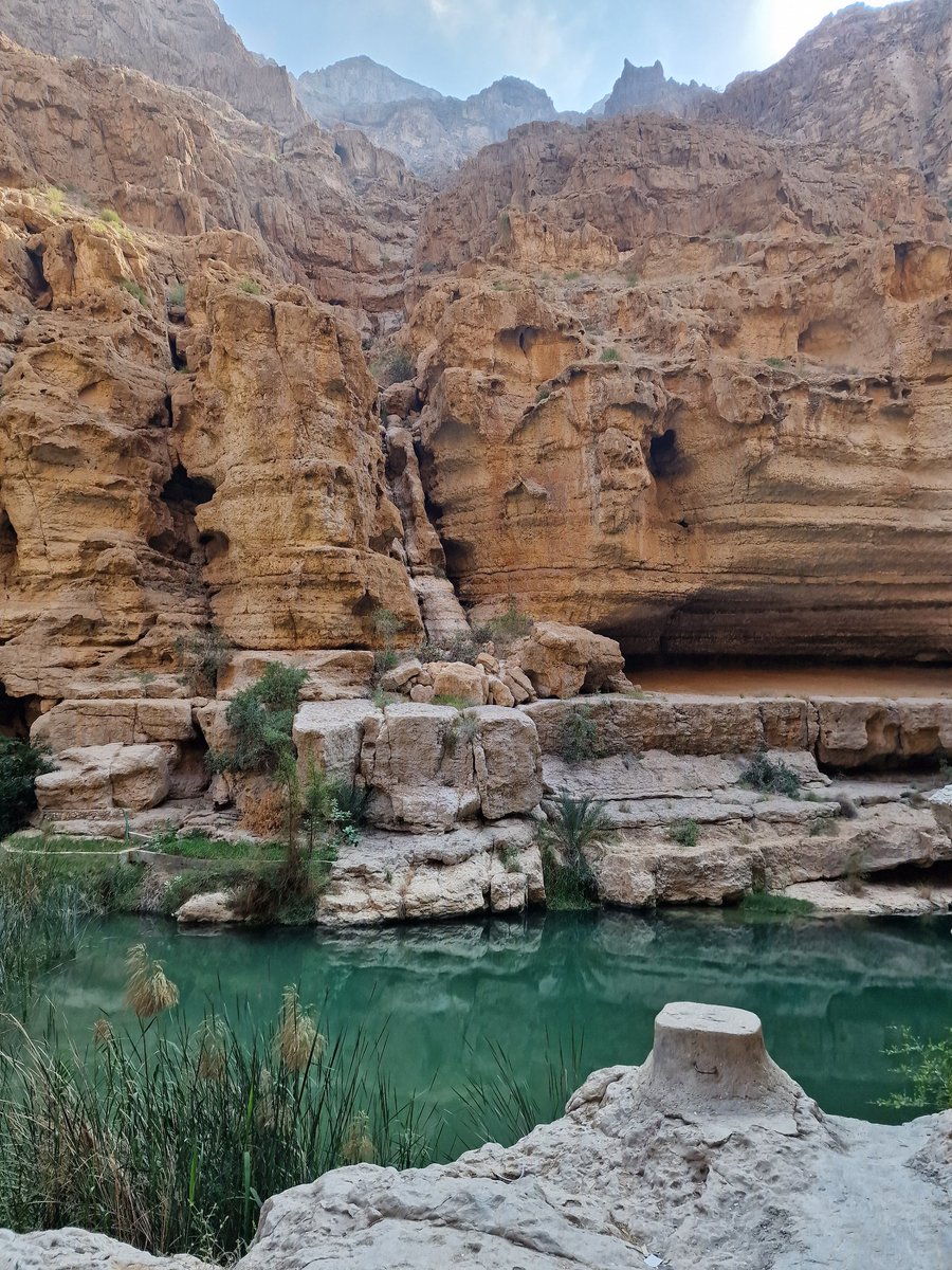 Tadeja Kuhar tweet media