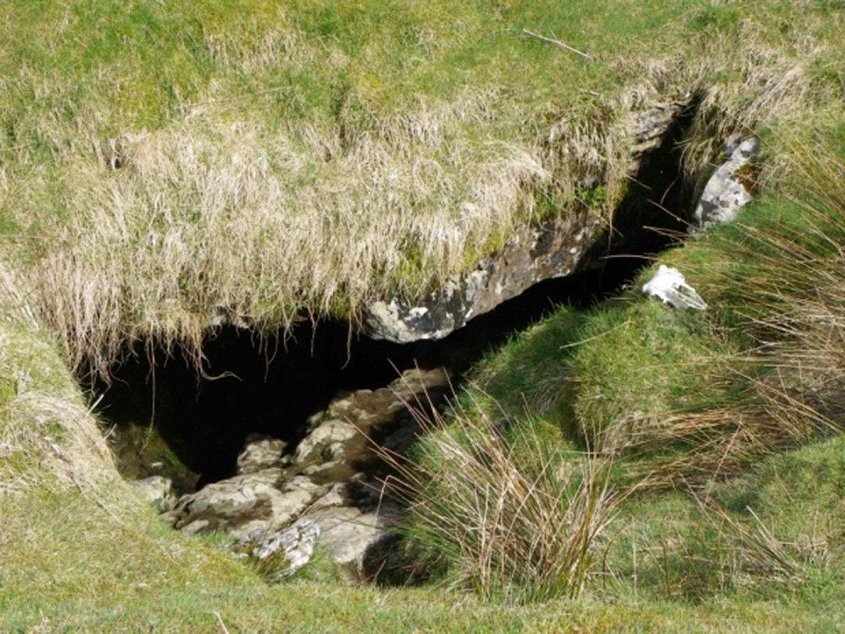 Preston Society of Birdwatching (@prestonnature) on Twitter photo 🆕Talk: Monday 15th January
Cave Formation in North West England by Paul Hindle
This talk describes how caves are formed, and includes a trip through the West Kingsdale system (near Ingleton): from Simpson's Pot to Valley Entrance
.prestonsociety.co.uk/speaker-events…
<a href="/cncc_uk/">Council for the Northern Caving Community</a> 🆕Talk: Monday 15th January
Cave Formation in North West England by Paul Hindle
This talk describes how caves are formed, and includes a trip through the West Kingsdale system (near Ingleton): from Simpson's Pot to Valley Entrance
.prestonsociety.co.uk/speaker-events…
<a href="/cncc_uk/">Council for the Northern Caving Community</a>
