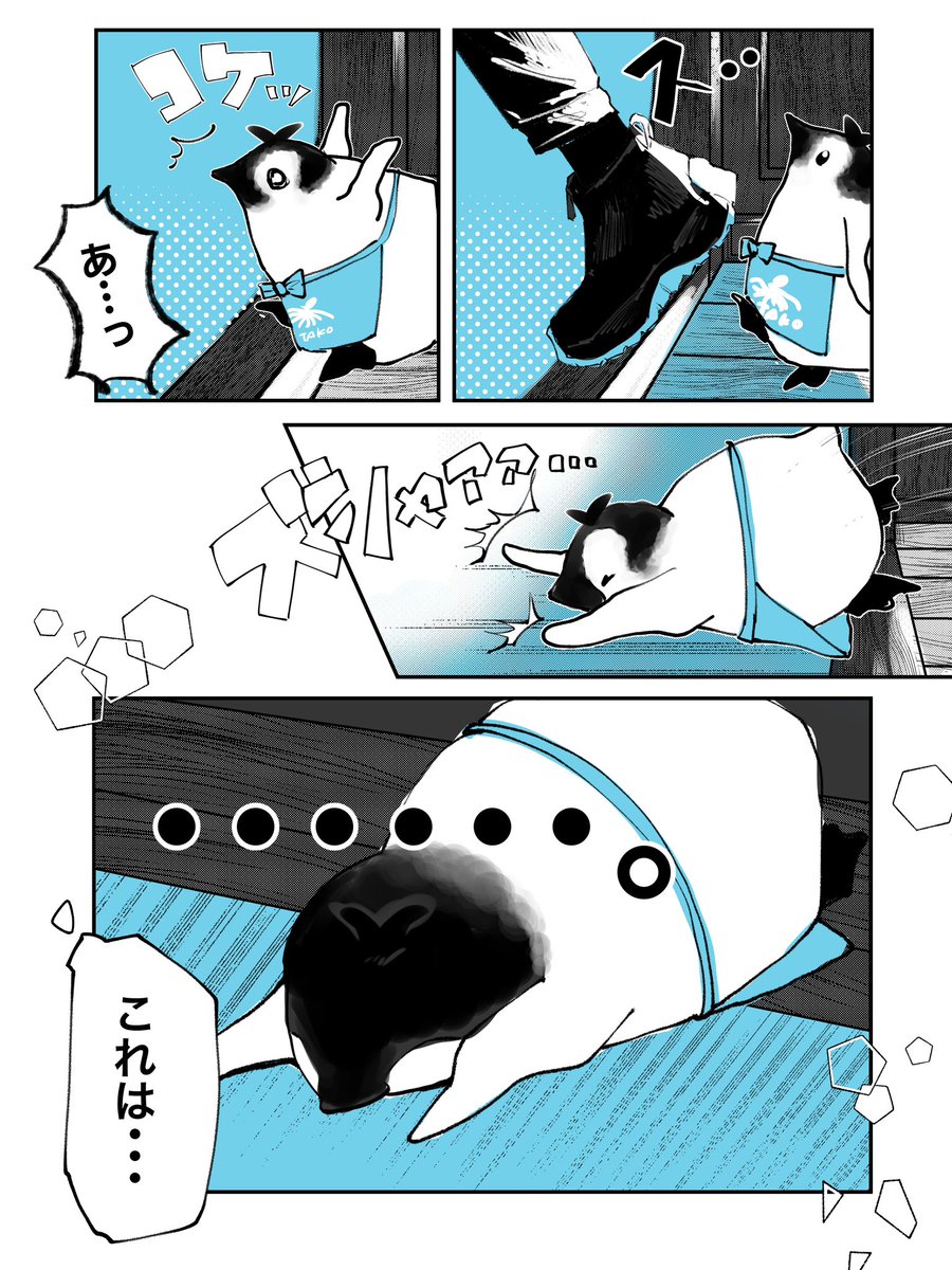 我慢できなかったくっつきペンペン🐧💦 