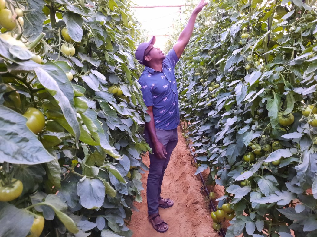 Candela🔥 itori nenharo