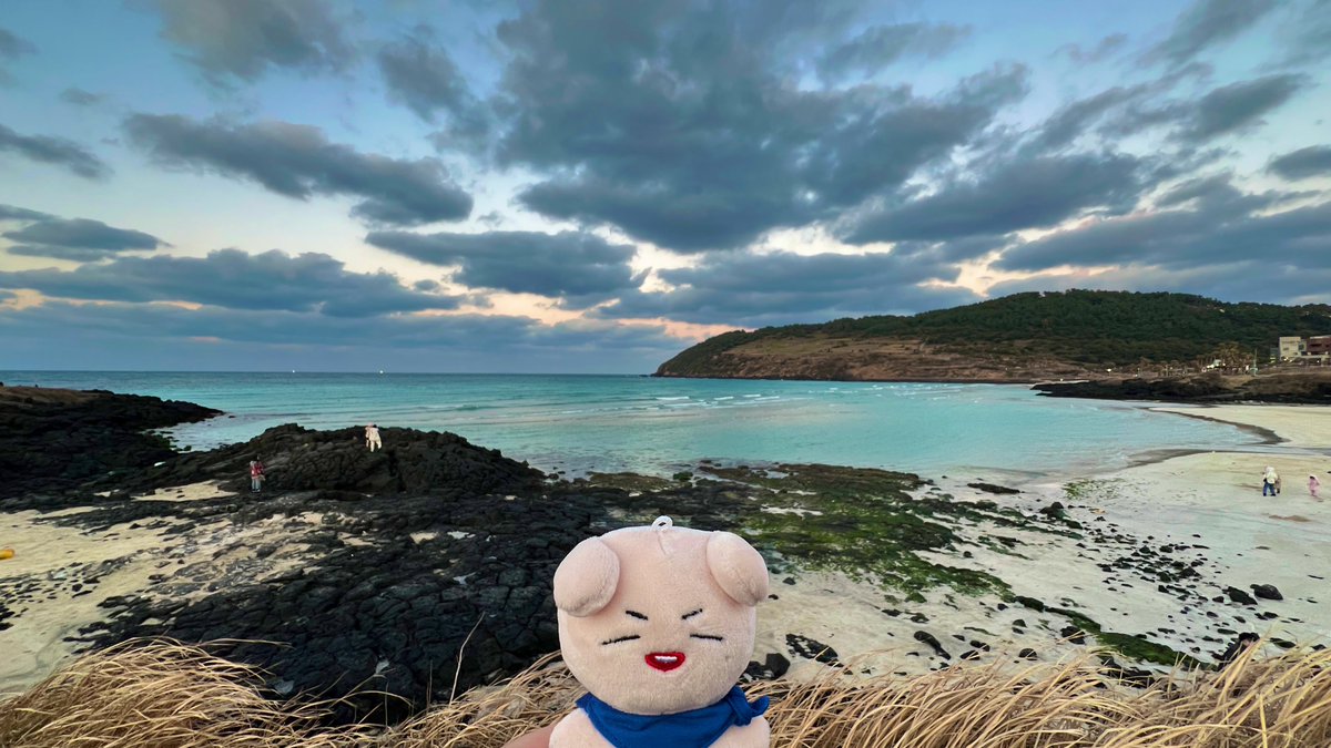 #우리집_루강지를_봐_대박임
🌲🌳🌊