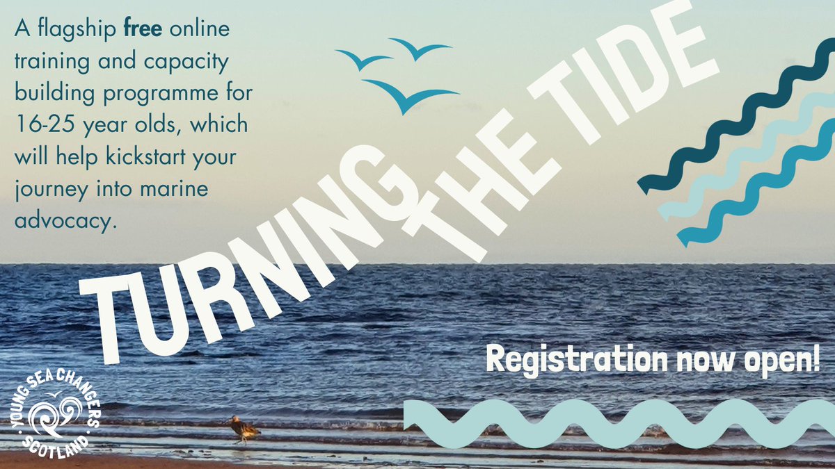 Are you aged 16-25, living in #Scotland & passionate about taking action for our seas?🌊

New charity @youth4seas just launched their FREE online training programme #TurningTheTide. 

Develop the skills & knowledge to speak up for our seas! Apply ↙️
youthforseas.org/turning-the-ti…