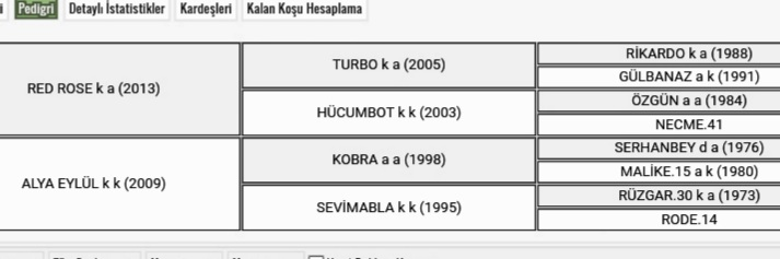 MetinMfg's tweet photo. 3 yş.SAHAYA İNMEYE HAZIR ERKEK #ARAPTAY EL FURAT,Kardeşlerinden Arifço 840 bin ve biri KV/7 olmak üzere 8 koşu kazandı diğer kardeşi Gürdal bey 4 yarış kazandı https://t.co/8XMi0xlk0S #TercihliKısraklar, #SatilikTaylar,#KoşanAtlar , #ArabianHorses
☎️05362458068 @varmitalip https://t.co/fnkZjEhxFX