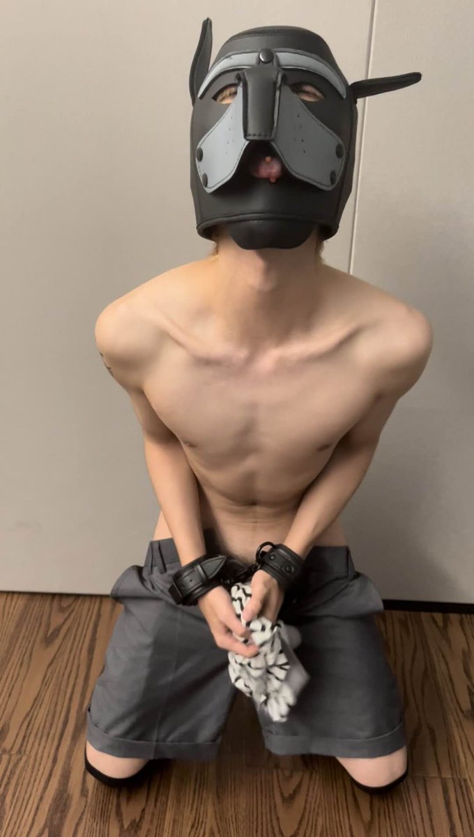 厦门1s农 tweet media