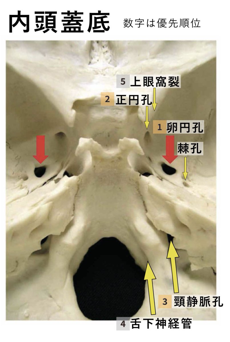 koro_c_dental's tweet photo. https://t.co/nnwmGbS4au