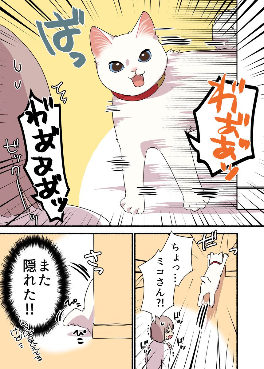 🐦⬛暗闇の中から…⚫️⚫️に狙われている話‼️😱😱😱 (2/2) #漫画が読めるハッシュタグ #愛されたがりの白猫ミコさん 単行本発売中です👇 https://amzn.to/3Gpk6yu