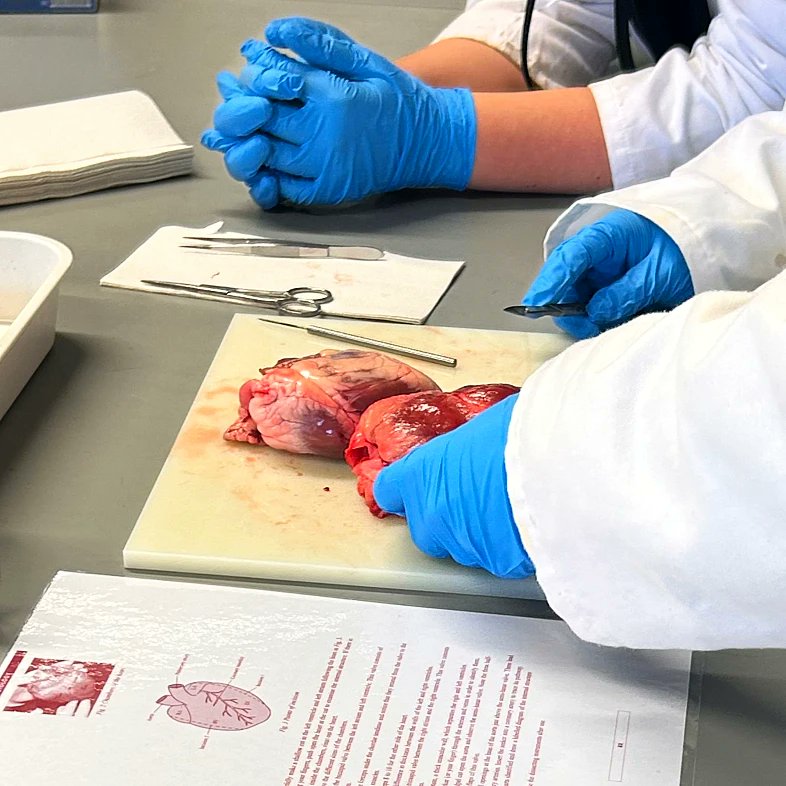 6th Year Biology students had a fantastic time in UL where they got to carry out some of the Leaving Cert Biology experiments with the help of the Biological Sciences Department! #stailbesschool #universityoflimerick #UL #Excellenceineducation #tetb #etbcorevalues