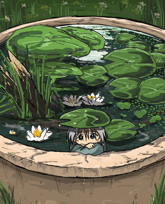 「lily pad pond」 illustration images(Latest)