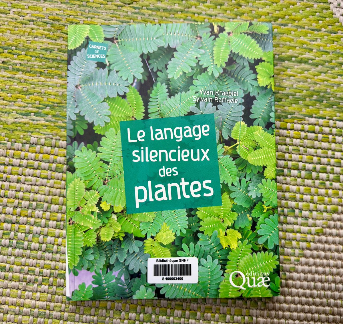 CONSEIL #VendrediLecture

Le saviez-vous ? Les plantes communiquent avec leur environnement. Explorez ce monde fascinant dans cet ouvrage proposé par deux chercheurs experts du sujet. 🌱

#biologie #plantes #ecosysteme #communication

📚#bibliotheque <a href="/laSNHF/">Société Nationale d'Horticulture de France</a>