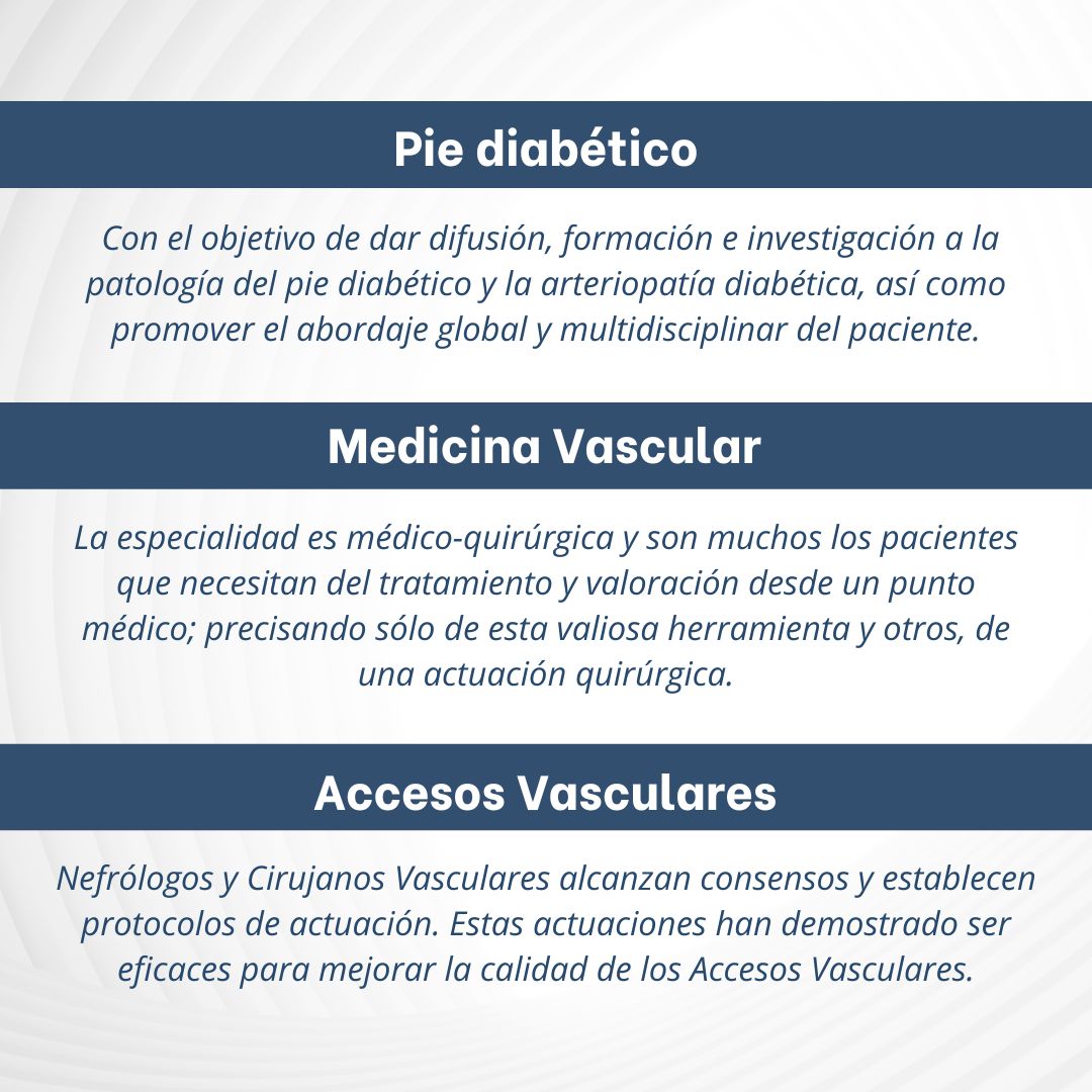 ¿Conoces las secciones y grupos de trabajo de la #SEACV? En nuestra web os mostramos las diferentes secciones y en qué consisten cada una de ellas. ¿Las conocías todas? seacv.es/la-sociedad/se…

#angiologia #cirugiavascular #piediabetico #medicinavascular #accesosvasculares