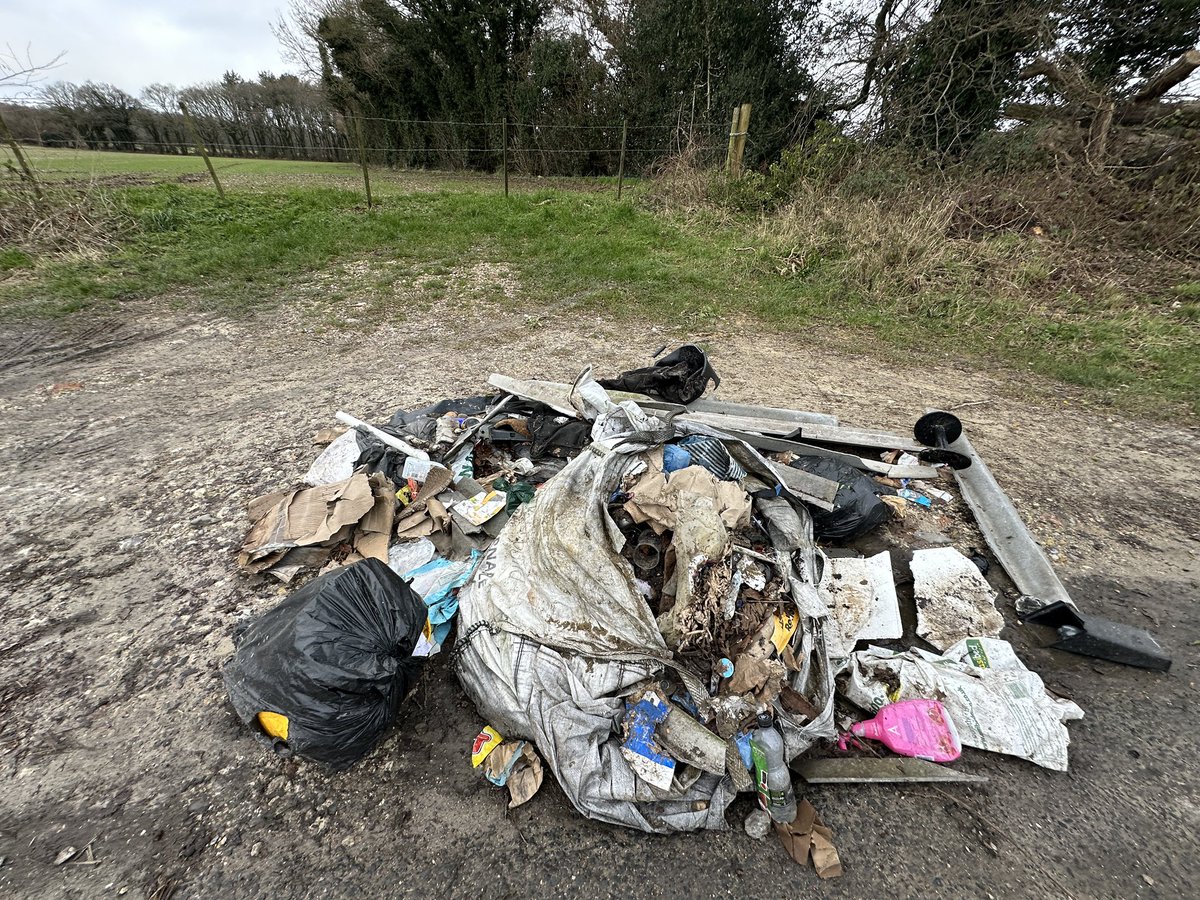 Contrasting scenes on one short stretch of a Hampshire country lane. Beautiful if, somewhat confused, daffodils. Down the road someone’s household trash. #ThoughtlessTossers strike again. @cleanupbritain @KeepBritainTidy @sdnpa @HampshireLive