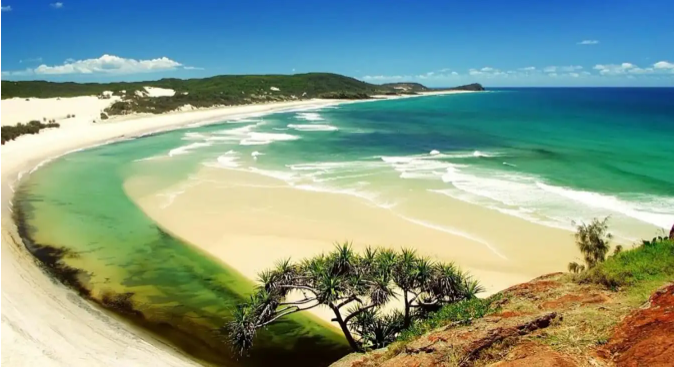 r_fatin's tweet photo. Beautiful white sand beach with many coconut palms, the sunlight takes turns shining down, making the sea surface more sparkling and attractive. Besides the beautiful natural scenery, visitors can also enjoy many other services here such as: Canoe surfing, skydiving, enjoying seafood,... Therefore, Bai Dai can be considered one of the Nha Trang beach is the most beautiful.