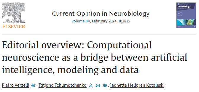 Really happy to announce that the editorial we wrote with @TTchumatchenko and Jeanette Hellgren Kotaleski is out! The special issue on computational neuroscience they edited is full of incredibly interesting contributions (all open access!). Link here: tinyurl.com/y29epzwv