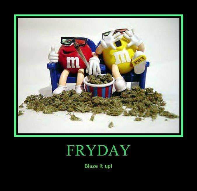 Fozziebaer1's tweet photo. Zum Start ins Wochenende:
Happy #WeedEnd #Weedmob! 😀
#CanGJetzt https://t.co/3ODbfDmvkV