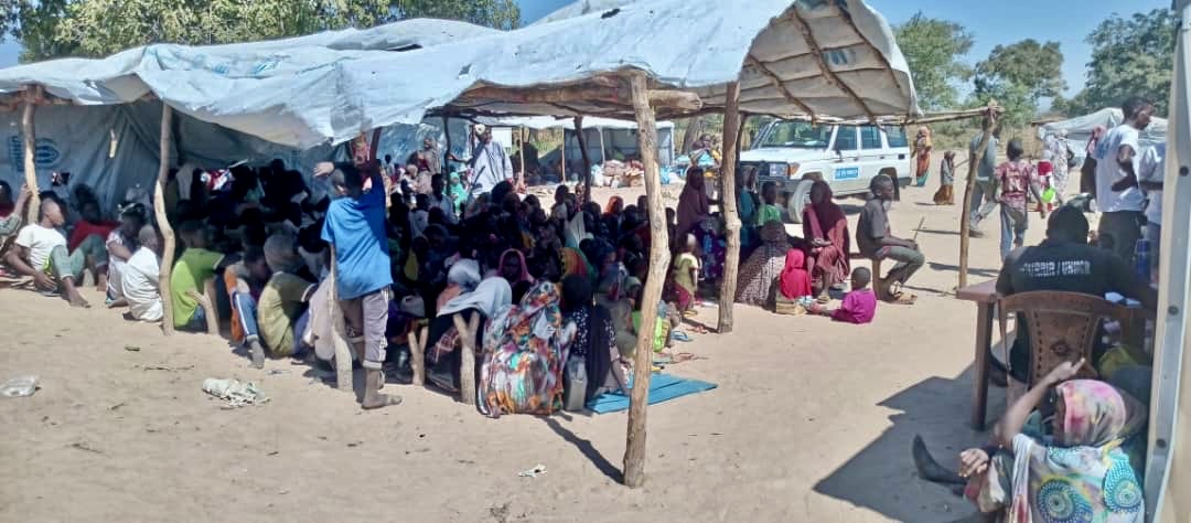 UNHCR_CAR's tweet photo. The situation is worsening in Sudan🇸🇩. From Jan 1st to 10th,1,941 newly arrived refugees(903 households) have been registered in #Korsi in Birao 🇨🇫 by #UNHCR &the Government. Arrivals continue.
Mobilization of humanitarian actors and resources is essential to address their needs https://t.co/XWGk0Rwoql