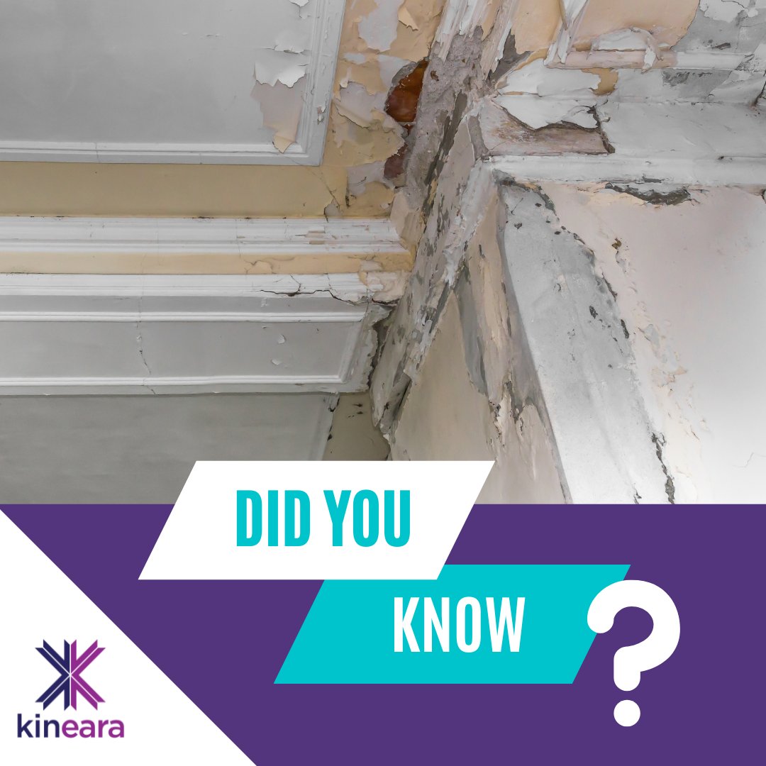 Over one third of renters we meet need legal support , most often for disrepair and poor conditions in the home that have not been taken care of by #landlords.

#fridayfacts