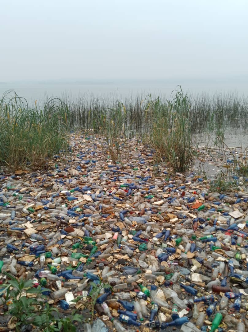DEC_Organisatio's tweet photo. Nos caméras sont encore sur le littoral de la ville de Bukavu, c'est l'axe Bwindi Kalengera dans la commune de Bagira. Nous dénonçons ces pollutions plastiques sur le lac Kivu, avec des conséquences désastreuses sur les biodiversités @b_jaehee @CongoActual @epistetechnic https://t.co/TAgs1tZ4CX