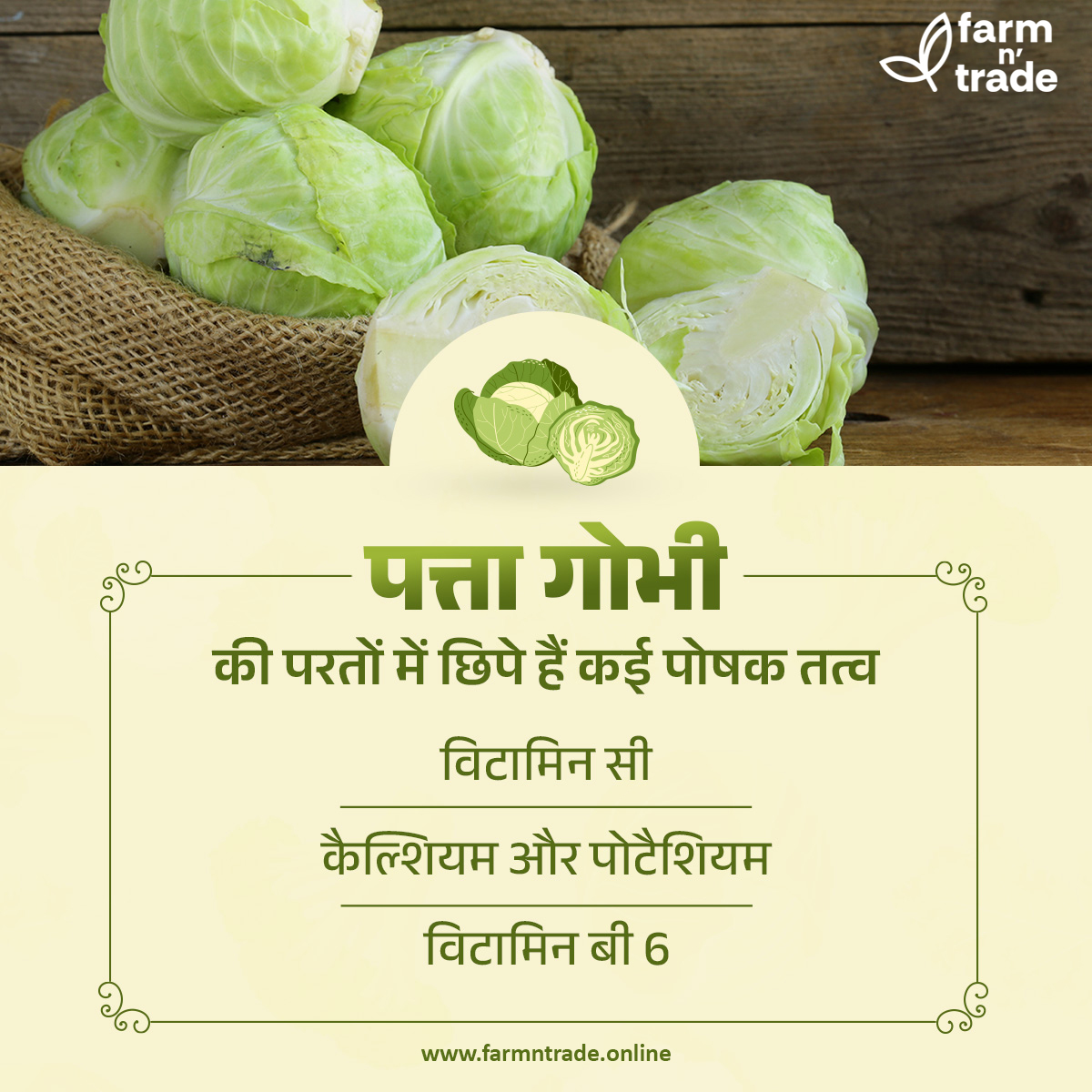 Cabbage, a nutritional powerhouse packed with fiber and low in calories, offers substantial health advantages.
#FarmNTrade #HigherStandards #CabbageBenefits #NutritionalPowerhouse #HealthyEating #FiberRich #LowCalorie #WellnessJourney #WholesomeFood #DeliciousAndHealthy