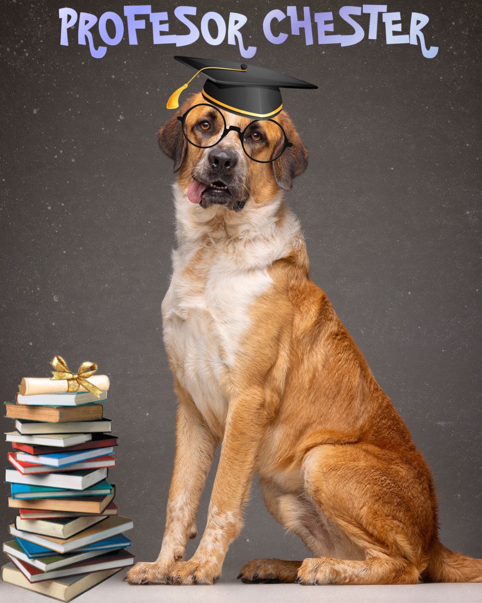 Proyecto Cañada tweet media