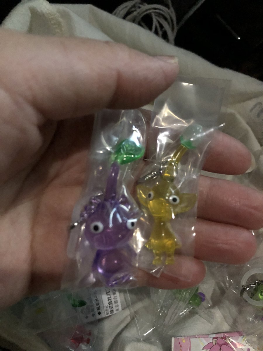 子どもの樹 tweet media