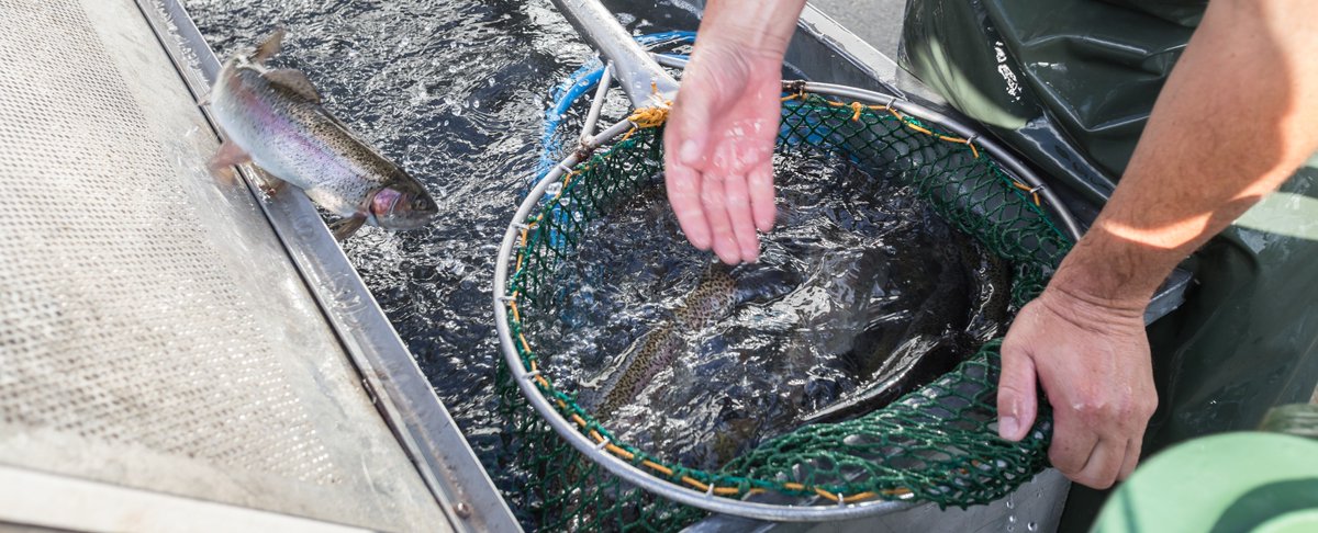 New comprehensive criteria are finally ready for aquaculture in the #BalticSea region 🥳 Helsinki Convention is the first Regional Seas Convention in Europe with such specific guidance on aquaculture and can be regarded as a best practice example. News: 👉 ow.ly/PzwH50QqhZl