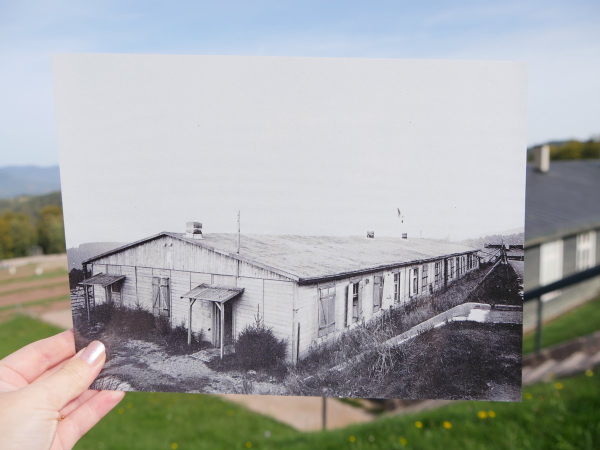 Vue d'une baraque de détenus (probablement 1945). #Memoire #Histoire #NeverForget