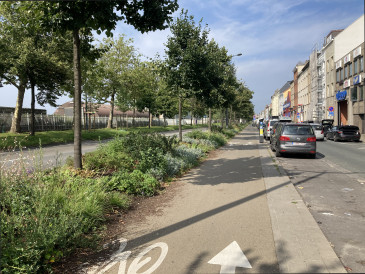 dimitristrobbe's tweet photo. 💡We lanceren een ideeënoproep om #Brussel samen met de Brusselaars te vergroenen en te ontharden! Heb je een idee? Wat bomen aan een plein? Een eekhoorntjes-brug? Een stadstuin? Let us know! 🌳

#BM #Maintain @elkevdbrandt 
👉 https://t.co/YS7lgxpPkV https://t.co/X0zGPAnQJU
