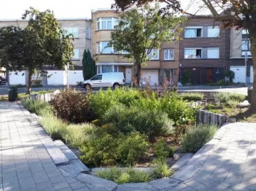 dimitristrobbe's tweet photo. 💡We lanceren een ideeënoproep om #Brussel samen met de Brusselaars te vergroenen en te ontharden! Heb je een idee? Wat bomen aan een plein? Een eekhoorntjes-brug? Een stadstuin? Let us know! 🌳

#BM #Maintain @elkevdbrandt 
👉 https://t.co/YS7lgxpPkV https://t.co/X0zGPAnQJU
