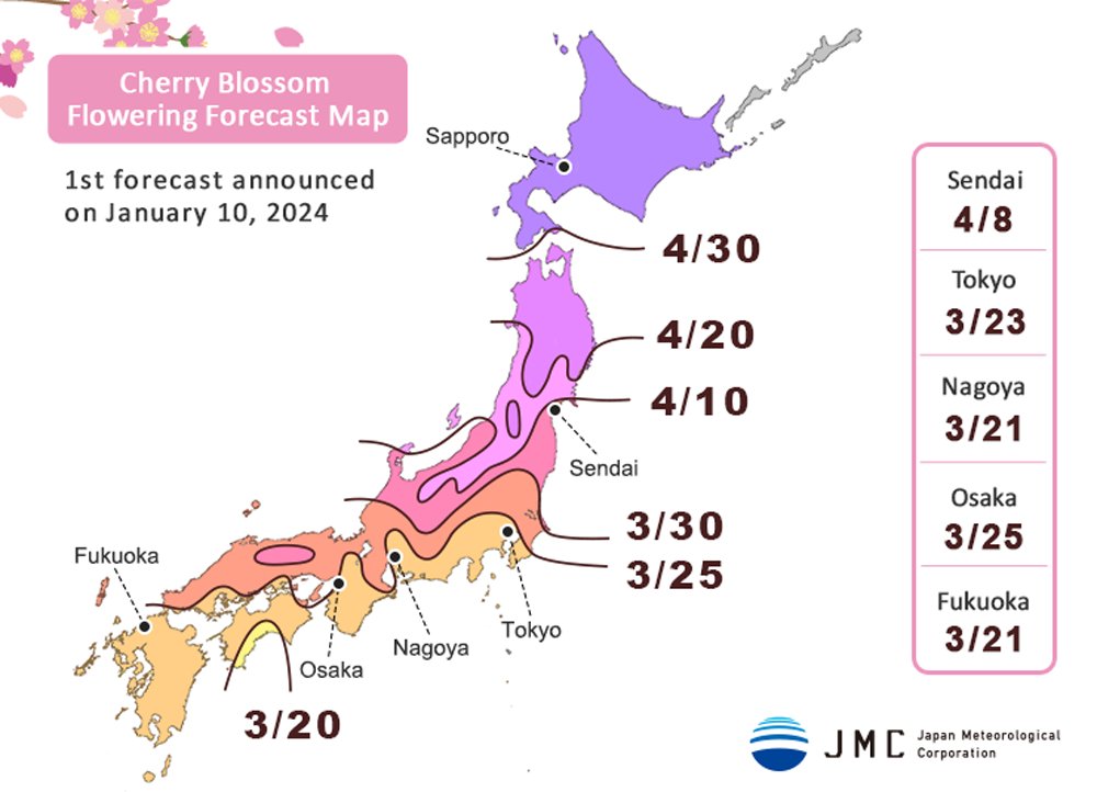 The 1st blossom forecast for 2024 has just been released by  the Japan Metrological Corporation, giving an idea as to when the anticipated pink blooms will begin and more importantly when 'Hanami' can begin. Perhaps surprisingly, pretty similar dates to normal. 
#Japan #travel