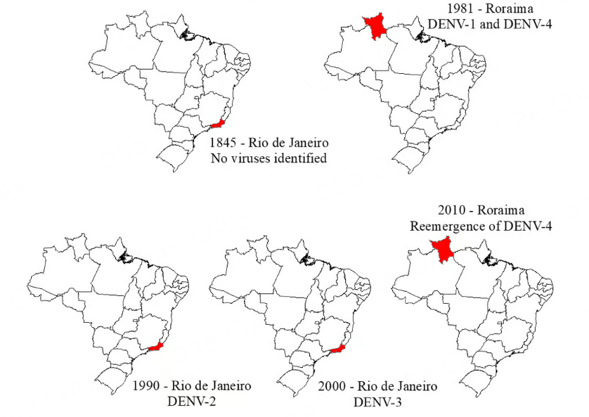 OAE_ohir's tweet photo. 🦟Unveiling the #ecoepidemiology of #Dengue in #Brazil: from #virus to #environment. 

🏷️Highlight the impact of social, climate, and environmental factors on Dengue transmission
Get more details📃: https://t.co/ZUUrEqYp5G
#OneHealth #PublicHealth https://t.co/CeNqahslcM