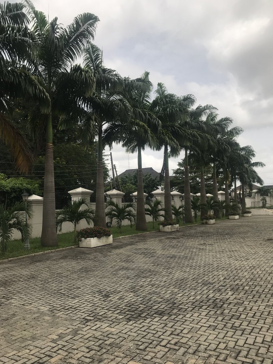 Adegboyetallest's tweet photo. Good morning everyone, I'm an Horticulturist, I beautify houses, hotels, companys and many other structures with flowers and I do interlocking stones too with a  history of delivering D best jobs and I can work in any location.. a trial will convince you. Like, retweet &amp; share https://t.co/UgpIKpNxMi