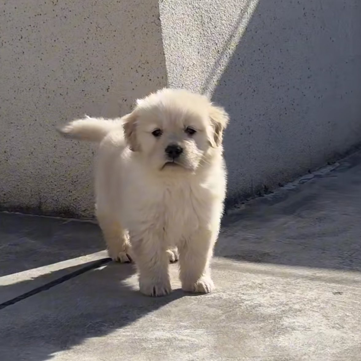 ดูปากไอตัวนี้555555555555ไม่พอใจเว้ย