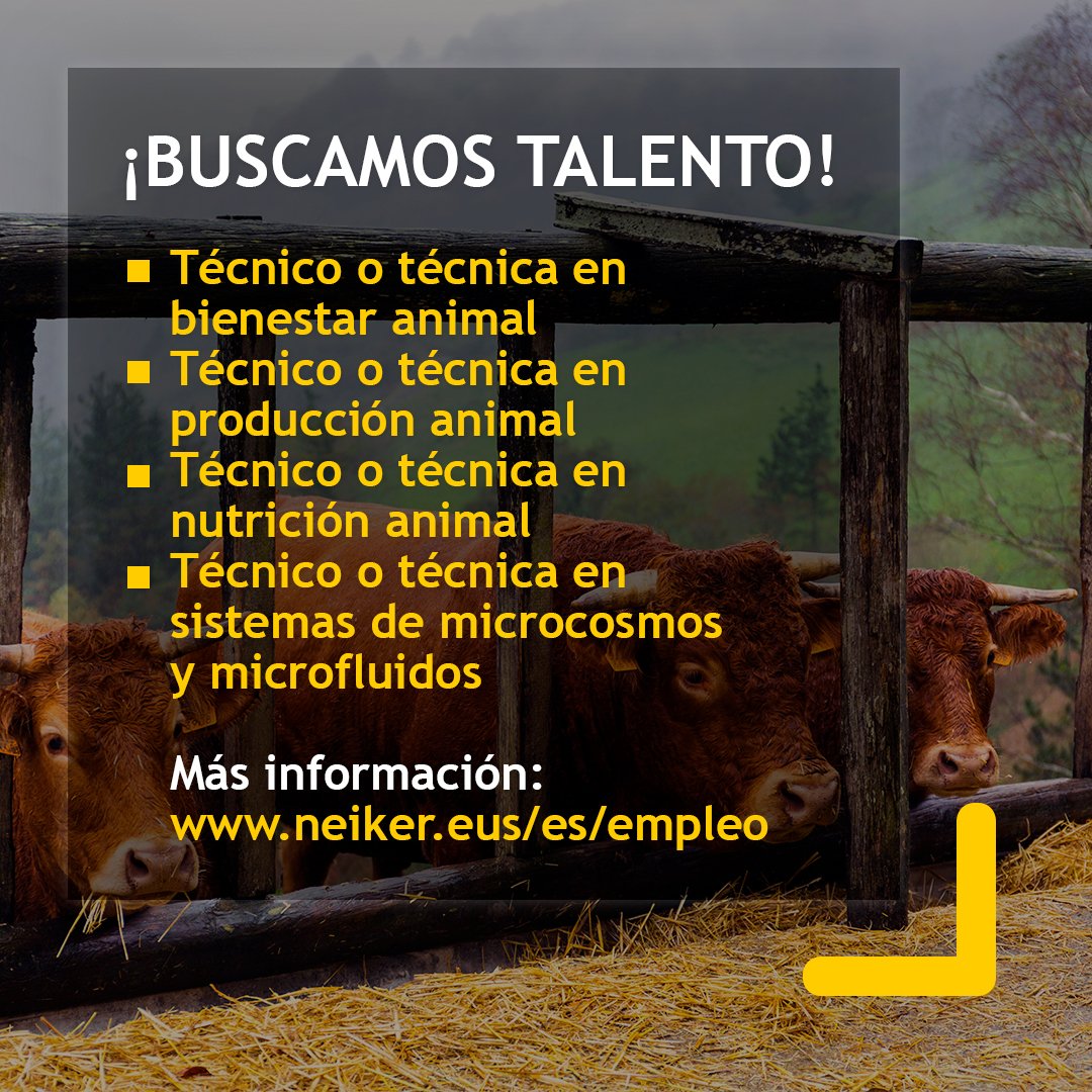 neiker_BRTA's tweet photo. 🔎¡Buscamos talento!

🐓Técnico o técnica en comportamiento y #bienestaranimal
🐄Técnico o técnica en #produccionanimal
🐏Técnico o técnica en #nutricionanimal
🔬Técnico o técnica en sistemas de #microcosmos y #microfluidos

ℹ️Más información y solicitud: https://t.co/mVCTfpbzjD https://t.co/LDofKuU7By