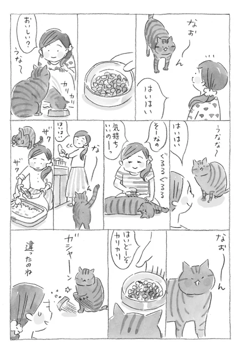 ねこのきもち😽 