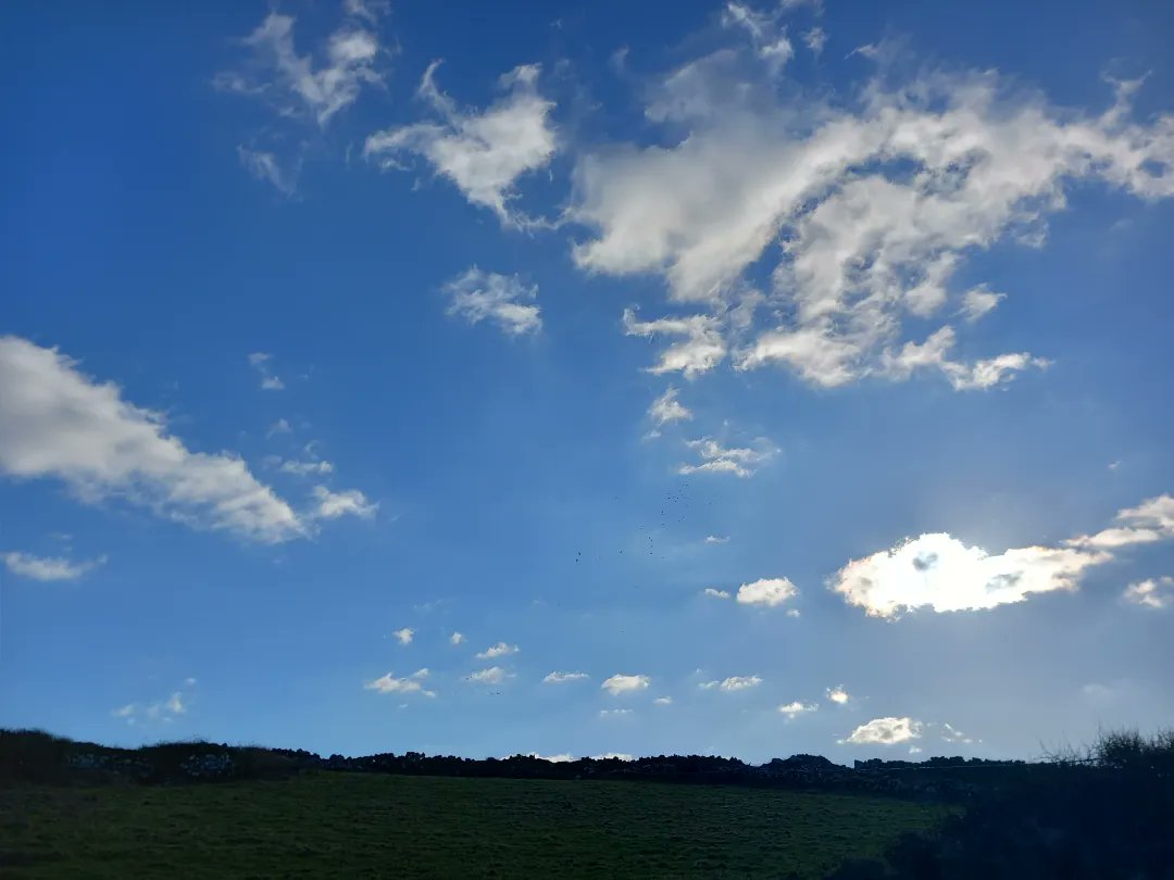 Running Beard 〓〓 tweet media