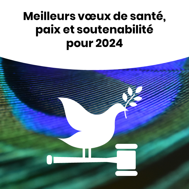 soutenabilite's tweet photo. 📆 En cette nouvelle année 2024, l'équipe de #SOUTENABILITÉ vous adresse ses vœux pour vous et vos #initiatives en faveur de la #transition écologique. 🌍🎯🌱

💫 Avant tout, que cette année déborde de sérénité, de #fraternité et de #paix. 🕊

#Maintenant #SI #ODD #SDG https://t.co/KMSI9eyDsT