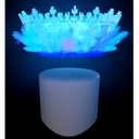 Steller_X's tweet photo. Trading/selling hh19, win18 and win22

Lf:halos,dims, valuable items

Feel free to offer https://t.co/v398QKGmBb