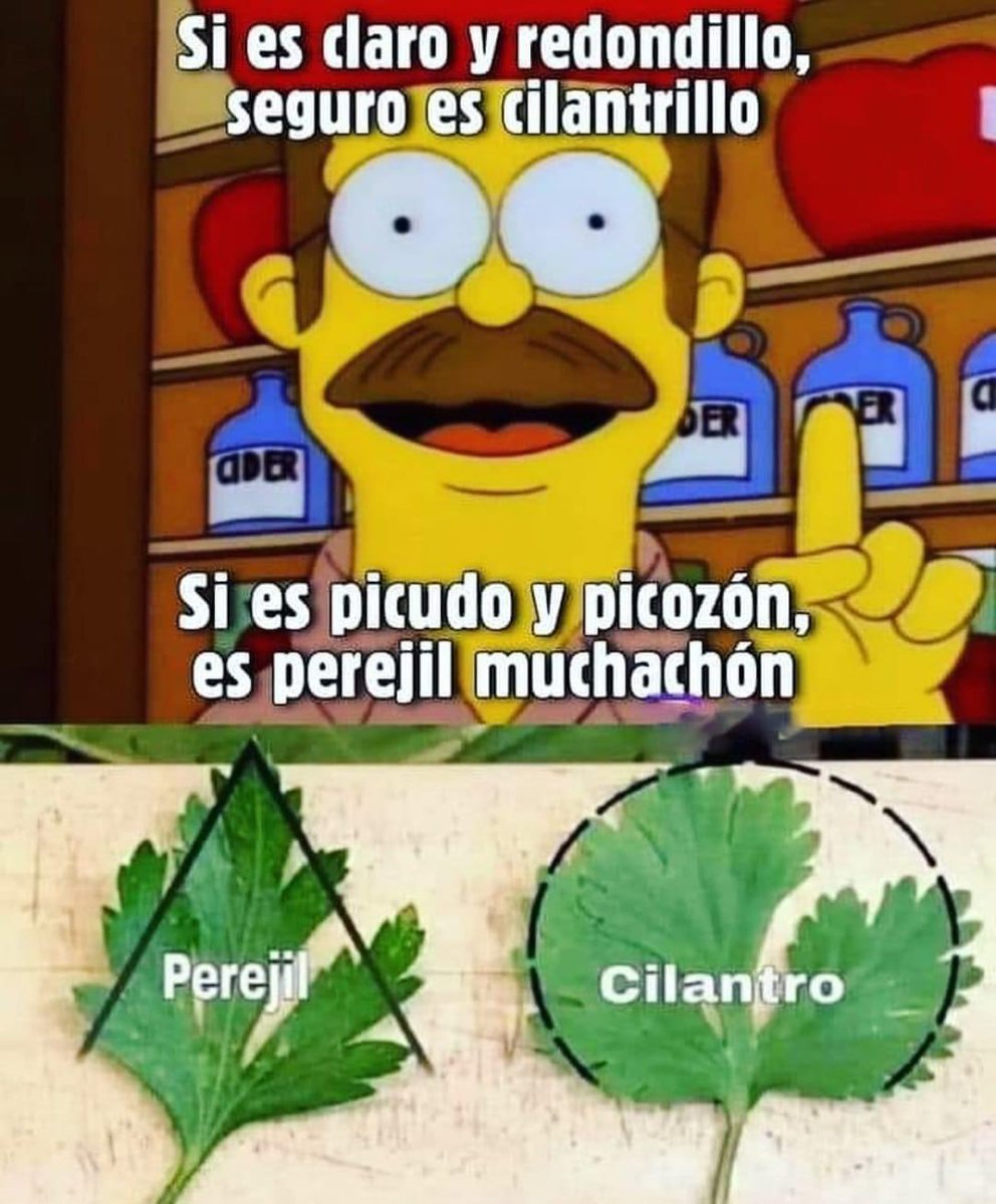 Perfectirijillo 👌😀🤣