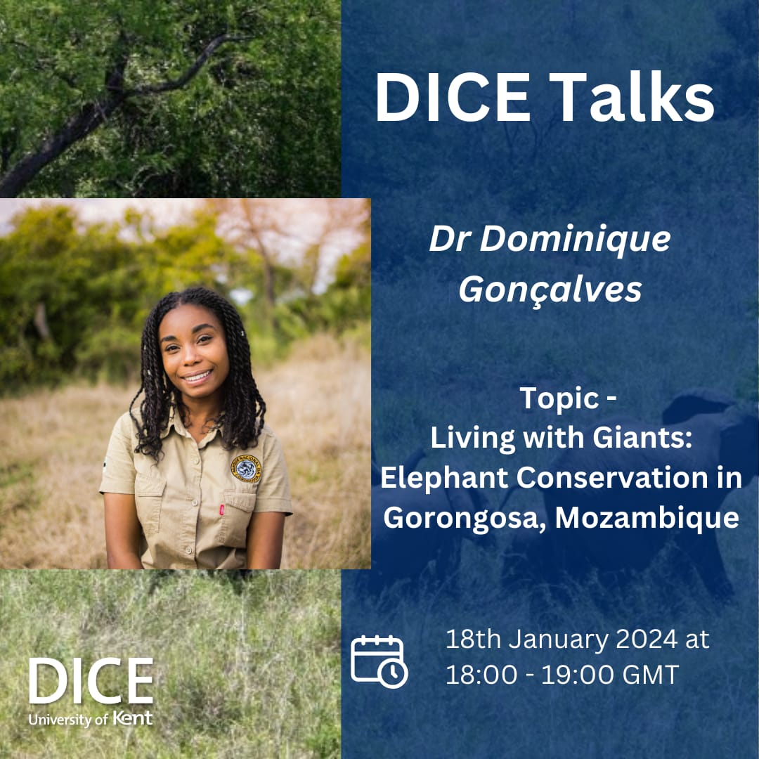 📢 The first DICE Talk for the year will be by our very own Dr. Dominique Goncalves where she will talk about her inspiring work with Elephants and local communities at @GorongosaPark 🐘 Join us in person on the 18th of January at 6.00 PM at GLT1 at the @UniKent