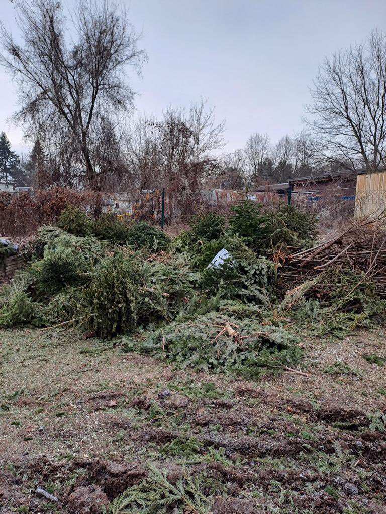 Szvp_Zidenice's tweet photo. 🌲🪵 Krásné skoro odpoledne 🌲🪵
Právě zpracováváme stromky na štepku, kterou následně rozvážíme do areálu Bzzzukotu.
#szvp #szvpzidenice #spravazelene #spravazelenezidenice #zpracovanistromku #stromky #vanocnistromky #stepka #stepkovani #štěpkování https://t.co/8LrhJeHaGq