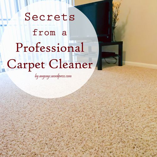 WOW Carpet Cleaning Adelaide offers top-notch carpet cleaning services. Discover our expert tips for maintaining pristine carpets. #CarpetCleaning #ProfessionalTips #WOWCarpetCleaningAdelaide