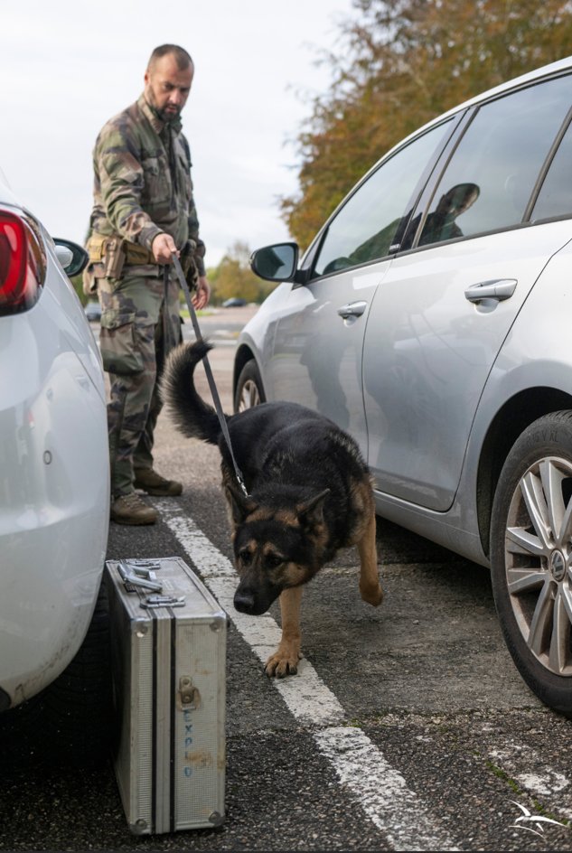 Armee_de_lair's tweet photo. Pionnière en la matière, l’AAE compte 5 GrIN (groupes d’intervention #NEDEX) répartis en France. Collision d’aéronefs, mise au jour de munitions d’antan, découverte d’un colis suspect sur une BA, dépollution d’un champ de tir, les démineurs des GrIN sont sur tous les fronts. https://t.co/z2ARzNvOwZ