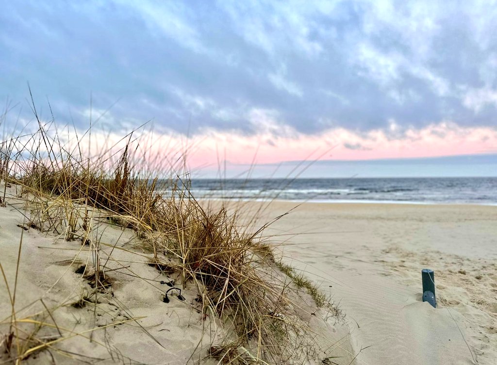 freitagsfrau's tweet photo. #Ostsee #InselUsedom https://t.co/ralnv5Exti