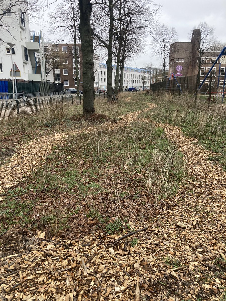 rinibiemans's tweet photo. Het #winterbeeld in #park1943 De komende maanden gaat dit helemaal veranderen 😀 Alles gaat weer groeien en bloeien 🤩🍀😇 #biocrow #inheemsenatuur #biodiversiteit https://t.co/k1uzlU654h